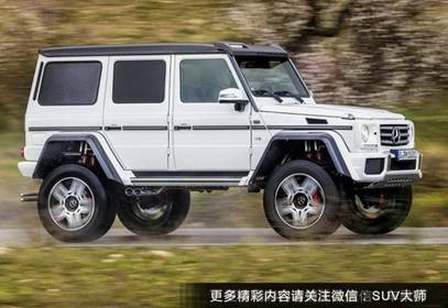 武汉暴雨算啥！让它们带你“乘风破浪”