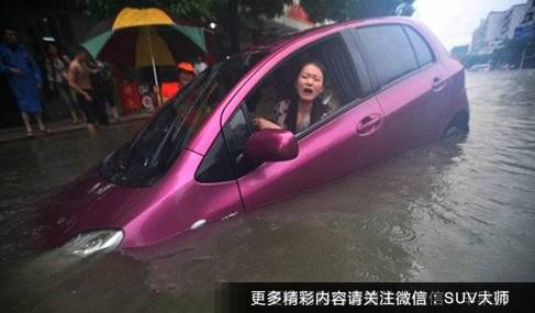 武汉暴雨算啥！让它们带你“乘风破浪”