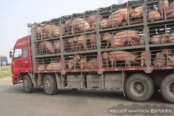 马路上杀伤力最大的九种车，连豪车都躲！