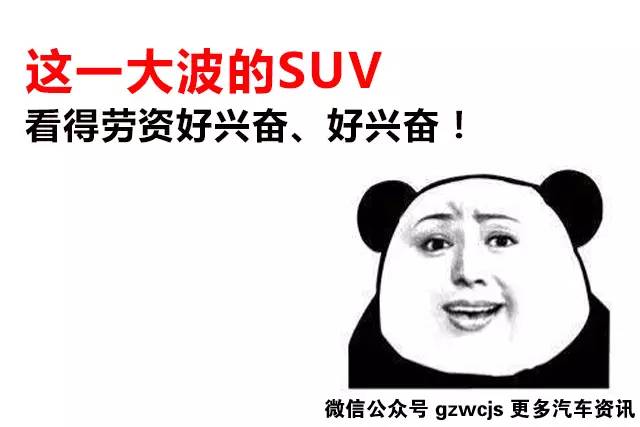 下半年大批极品国产SUV来袭