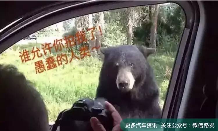 惊魂一刻，停车不落锁的后果很严重