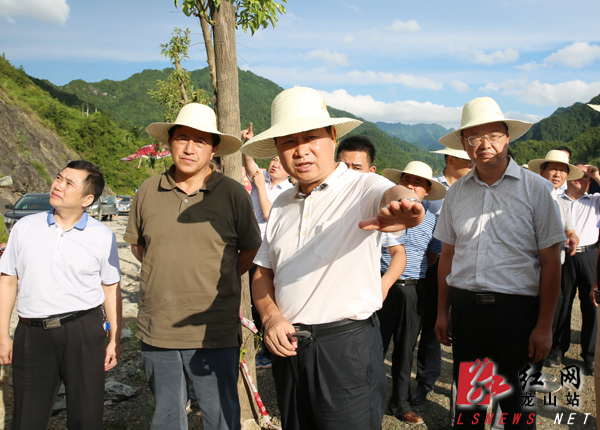 叶红专深入龙山县查看灾后重建情况