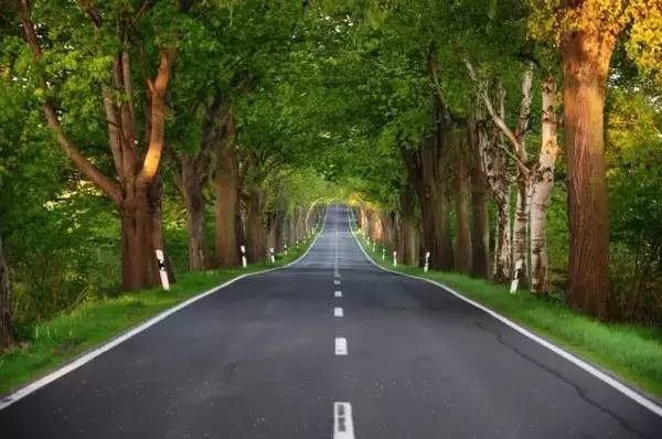 保时捷车主你听好 这些公路你怕了吗