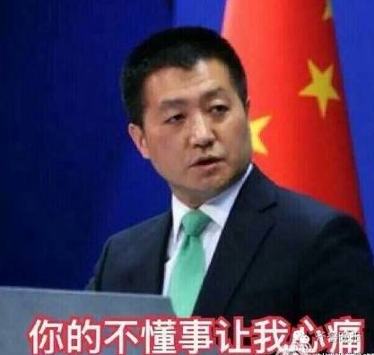 躲过了所有天团却没能躲过这个外交部四宝帅炸