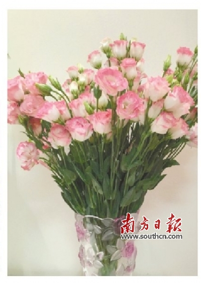 鲜花o2o把美送到家|鲜花|o2o|市场_新浪新闻