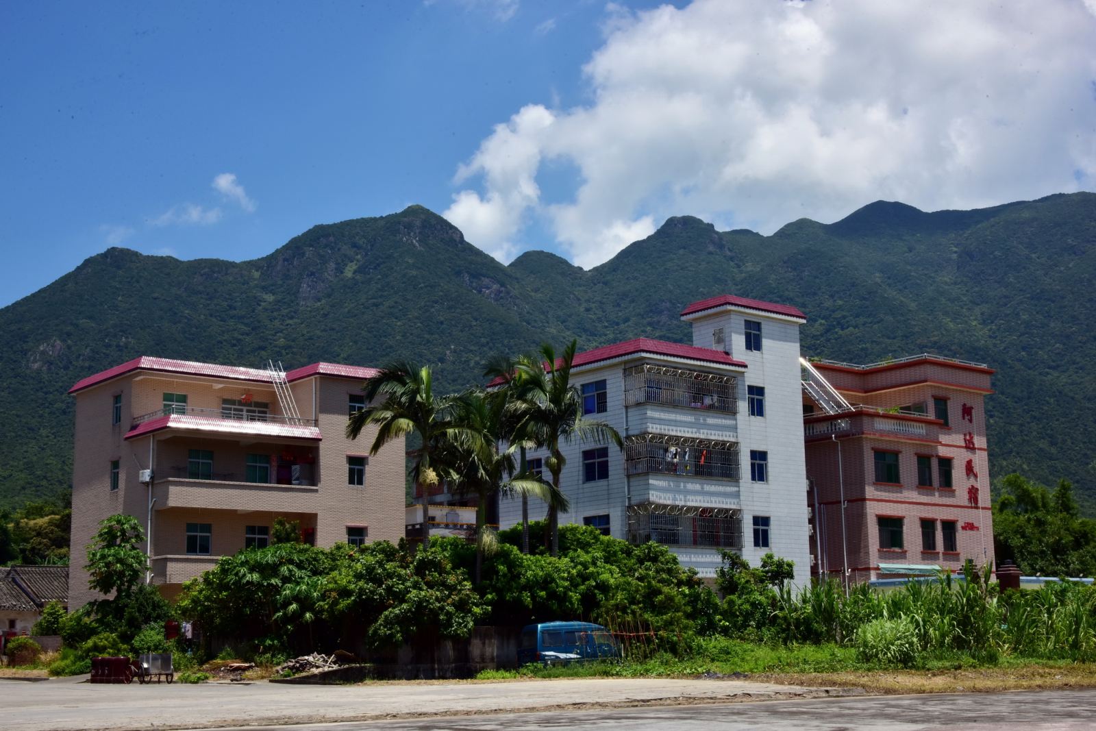 寸土寸金还要有绿水青山 深圳是如何做到的?