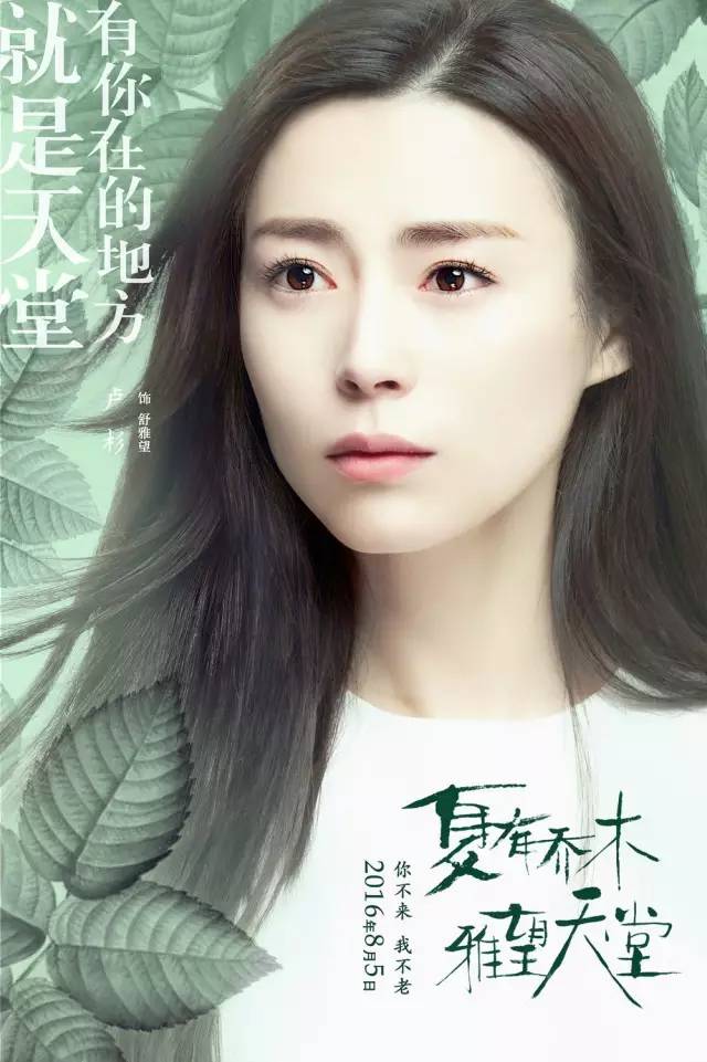 错过致青春空降夏有乔木女主卢杉到底什么来头