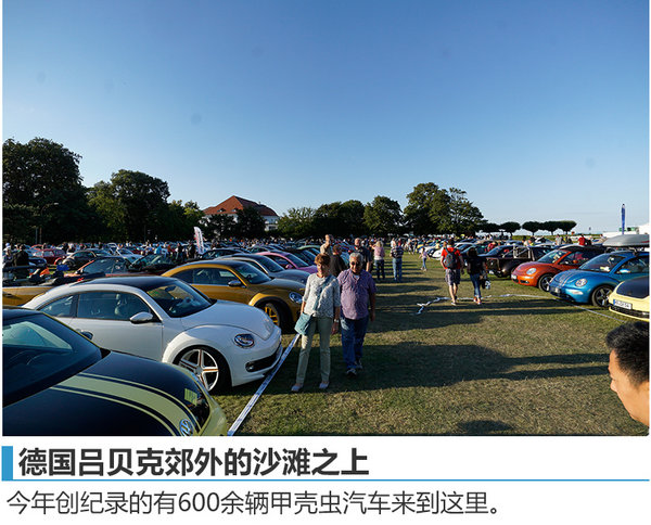 阳光、沙滩  没有美女只有虫子