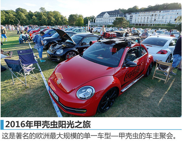 阳光、沙滩  没有美女只有虫子