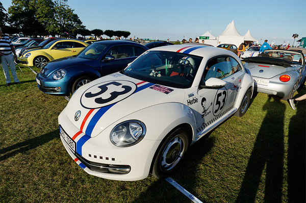 阳光、沙滩  没有美女只有虫子