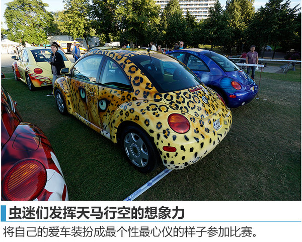 阳光、沙滩  没有美女只有虫子