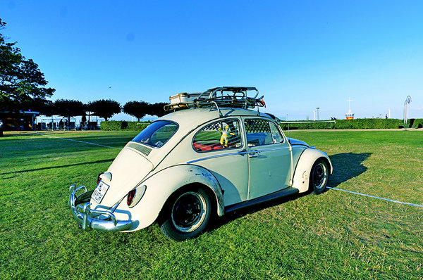 阳光、沙滩  没有美女只有虫子