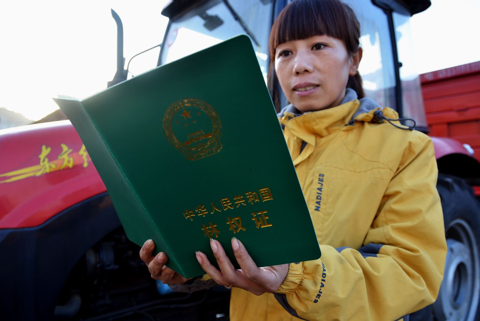 林业局出手整治集体林权流转乱象