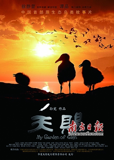 电影《天赐》海报.