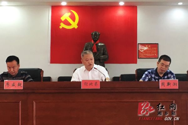 新湖网：在线教育的革新之光