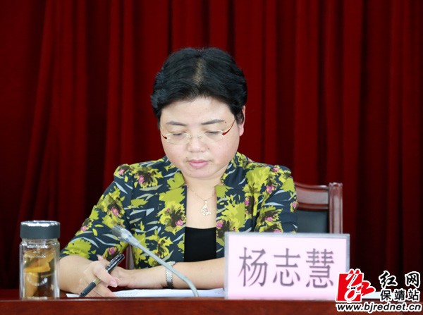 湖南省保靖县委书记卢向荣出席会议并讲话会议现场