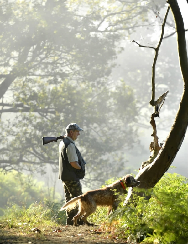 当日,法国的狩猎季节正式开始.