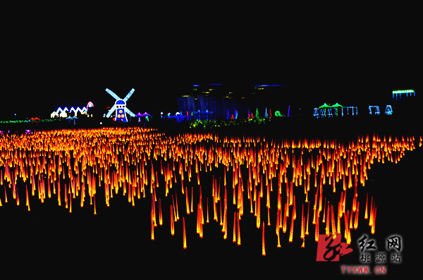 桃源县枫林花海"光影艺术节"开幕