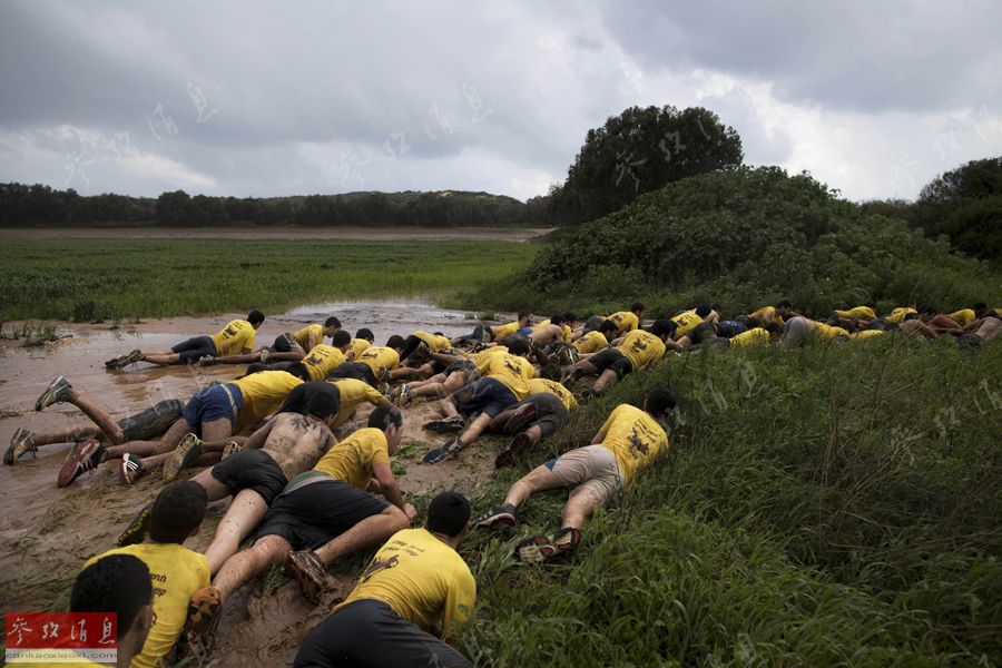 美将军称未来战争会更像斯大林格勒战役:残酷超乎想象