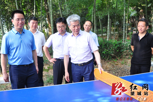张湘涛调研望城彩陶源村美丽乡村建设工作