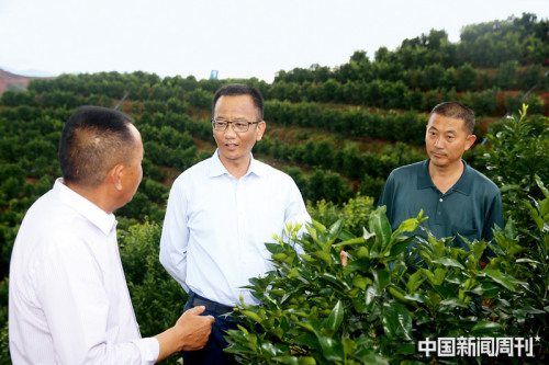 专访普洱市市委书记卫星:坚持生态保护是第一政绩