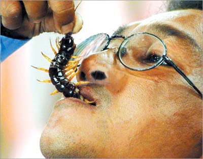 大妈迷信以毒攻毒狼吞虎咽连吃10余只蜈蚣身亡