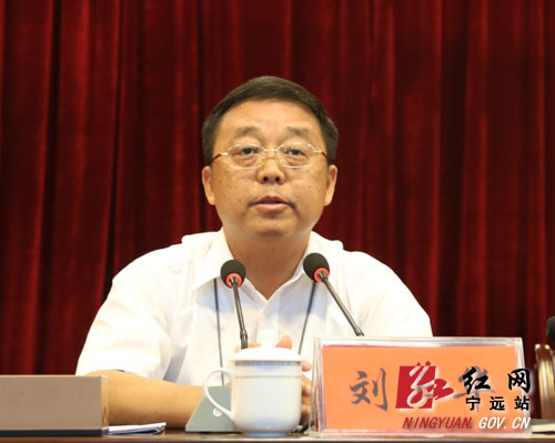 湖南省宁远县委书记刘卫华在会上讲话宁远县委副书记,代县长唐何在会