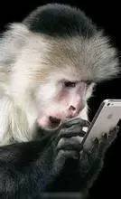 不知道这个按钮，别说你会开车！