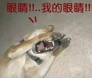 高速上最怕五种人 要保命一定要躲的远点！