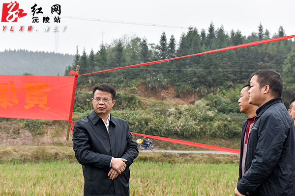 易中华深入沅陵县官庄镇调研