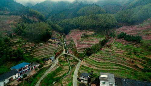 邱联鸿:打赢瑶族扶贫攻坚战须创新工作机制