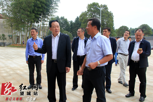 长沙市副市长陈中来望城调研美丽乡村建设