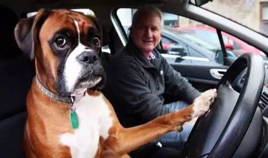 送给所有开车的人！太有用了！