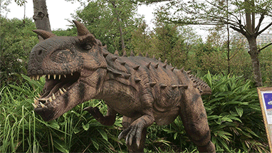 一份来自恐龙世界的邀请