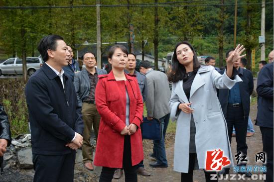 由湖南省民政厅老区办副主任李晓云带队的省考核验收组来到永定区王家