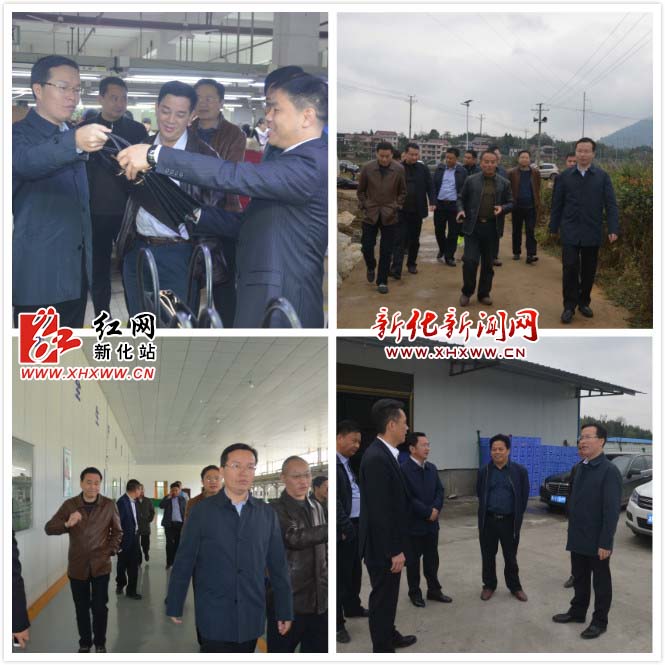 新化县左志锋周末赴曹家游家西河三镇调研指导工作