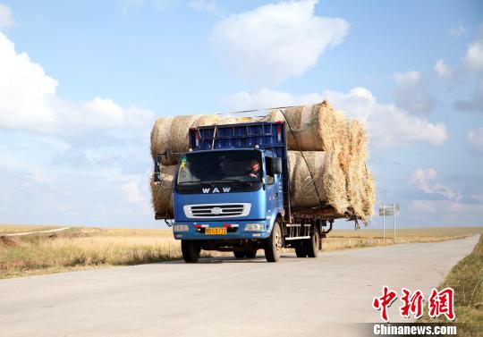 图为运输途中的运草车,目前内蒙古境内对救灾饲草调运免收过路费.