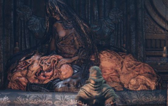 黑暗之魂3蓓尔嘉和罗莎利亚关系图文分析