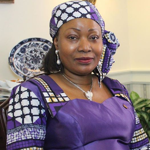 几内亚总统夫人在京招待非洲国家驻华大使夫人