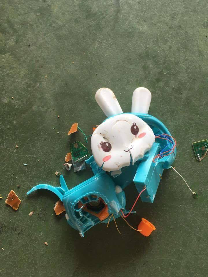 因大陆产玩具兔念"台湾是中国最大岛" 台男子怒将其砸毁