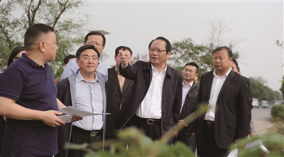 金湖县委书记张志勇(右三)调研土地承包经营权抵押试点工作荷花是金湖