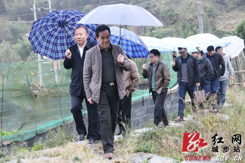 邓广雁深入城步县考察调研精准扶贫工作