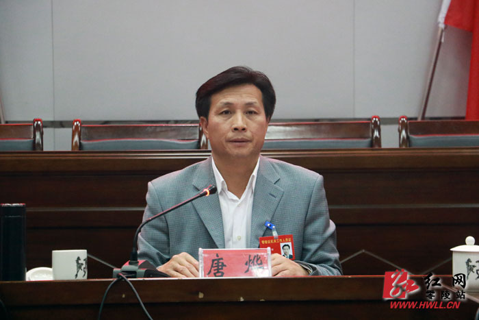 区委书记唐烨作重要讲话   红网零陵区站11月14日讯(分站记者