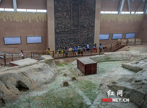 湖南道县玉蟾岩出土的稻谷记录了那段改变人类命运的沧桑历史,一万年