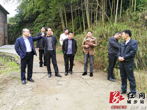 杨博理深入城步县乡镇调研指导工作