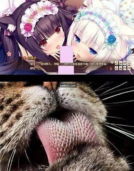 一次突如其来的Steam无厘头评奖活动