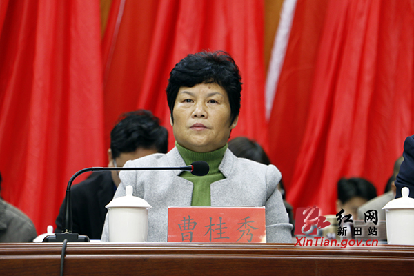 新田县第十七届人民代表大会第一次会议开幕