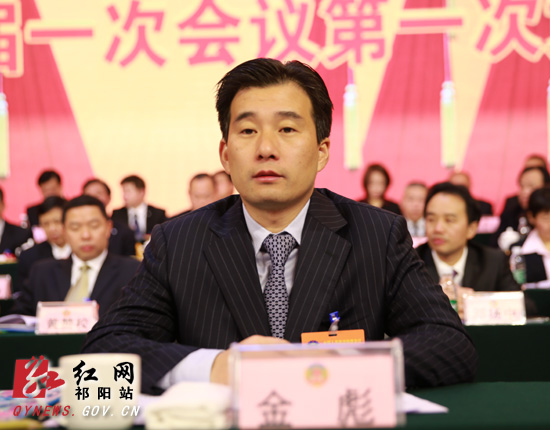 政协祁阳县第十届委员会第一次会议开幕