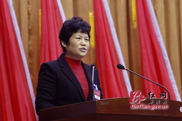 新田县十七届人大一次会议召开第二次全会