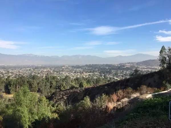 Faith_bian首答:如何走上职业道路 喜欢宅